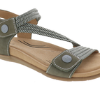 Olive Multi