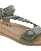 Olive Multi