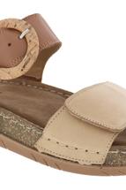 Cognac Multi