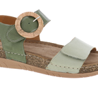 Olive Multi
