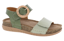 Olive Multi / 36 (US 5.5-6)