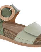 Olive Multi