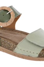 Olive Multi