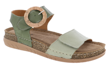 Olive Multi / 36 (US 5.5-6)
