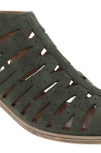 Olive Multi