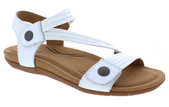White Solid / 36 (US 5.5-6)