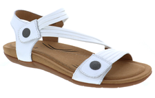 White Solid / 36 (US 5.5-6)