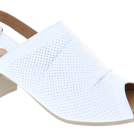 Olena - Biza Shoes - 