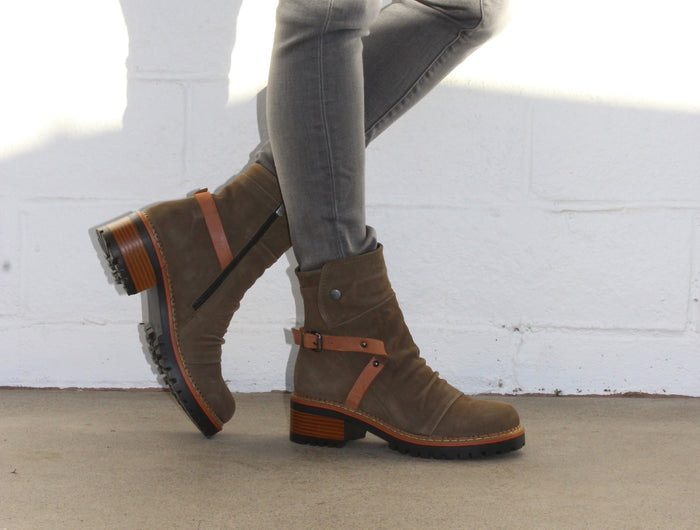 <h1>FALL FAVORITES</h1>